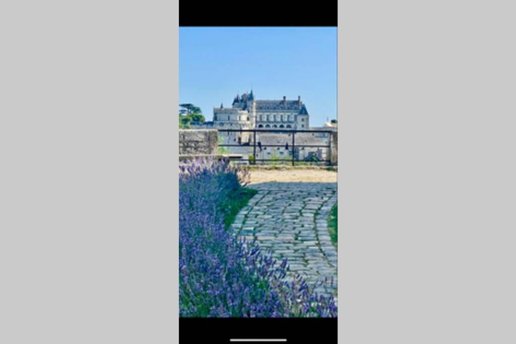 Le 17 Entre Gare Et Chateau Amboise Bagian luar foto